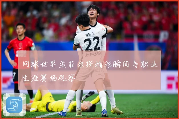 网球世界孟菲尔斯精彩瞬间与职业生涯赛场观察